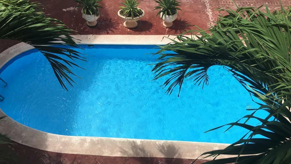 Arcoiris Share Apartment Bavaro Punta Cana Ngoại thất bức ảnh